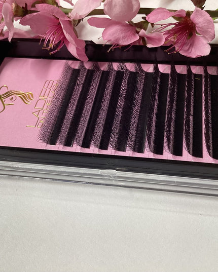 Gene W 4D - LADIES ON THE LASHExtensii de gene Premade Ladies on the lash