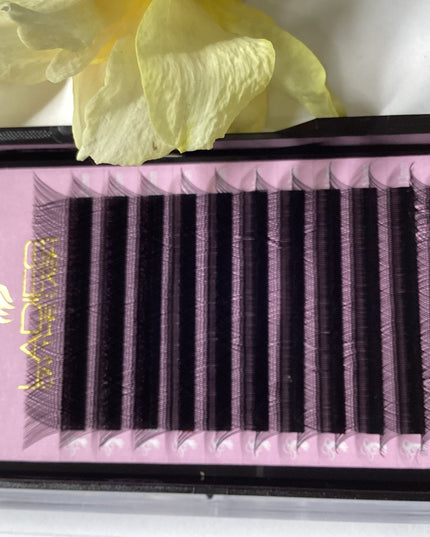 Gene YY - LADIES ON THE LASHExtensii de gene Premade Ladies on the lash