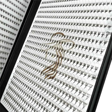 Extensii gene 6D Premium de la LADIES ON THE LASH