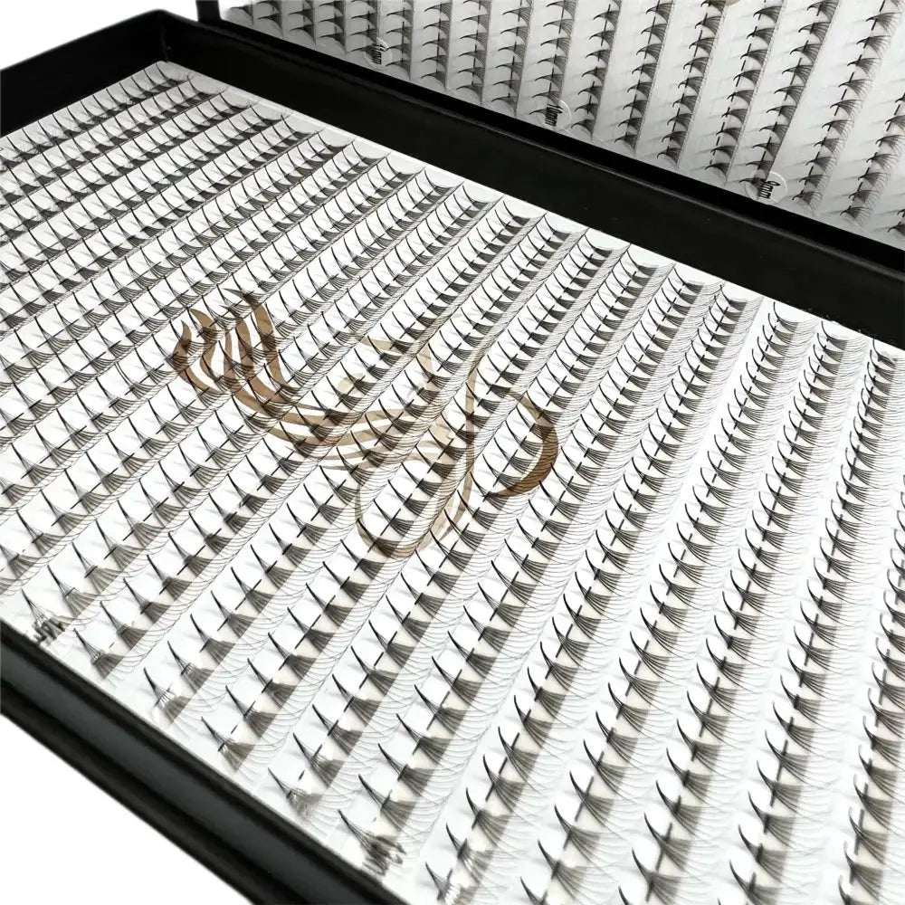 Extensii gene 6D de la LADIES ON THE LASH, perfect pentru un look voluminos și elegant