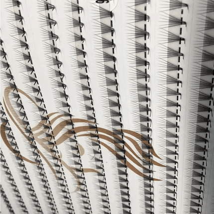 Extensii gene 6D de la LADIES ON THE LASH, cu un design detaliat și ușor de aplicat