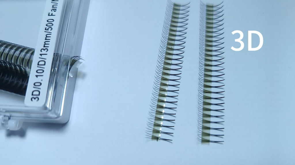 3D Narrow LADIES ON THE LASH