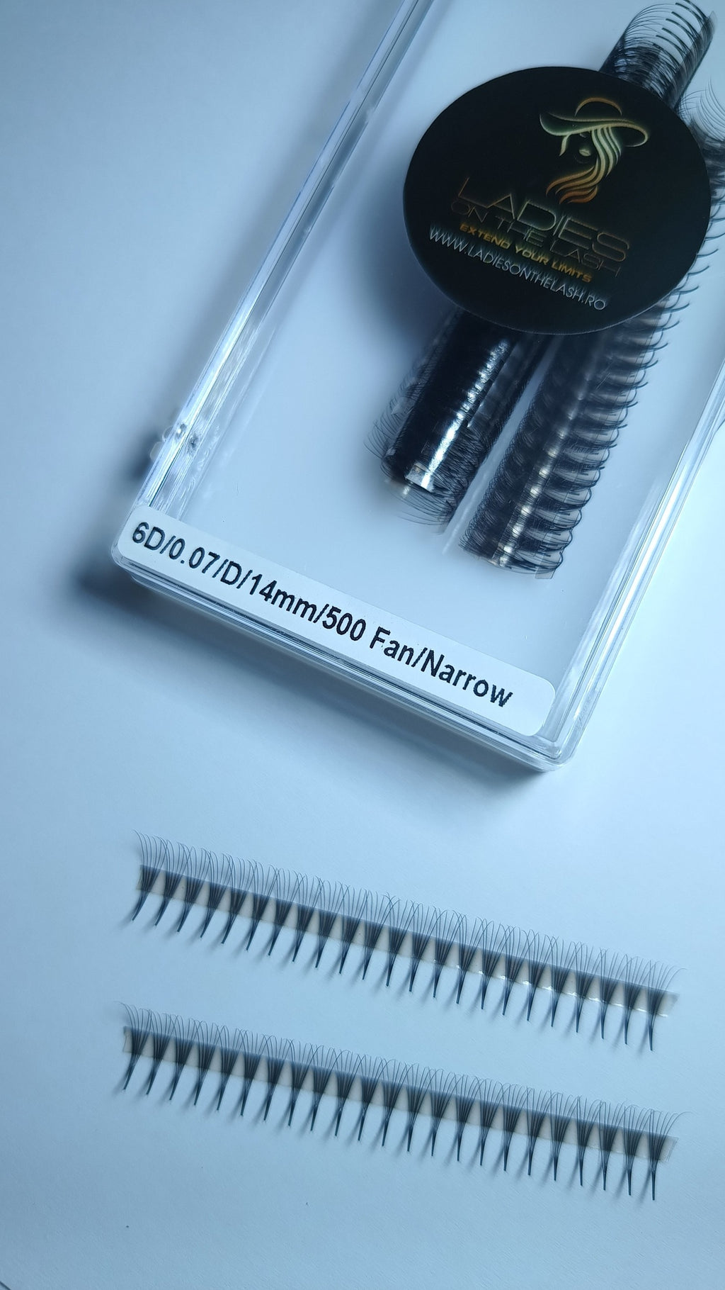 6D Narrow LADIES ON THE LASH