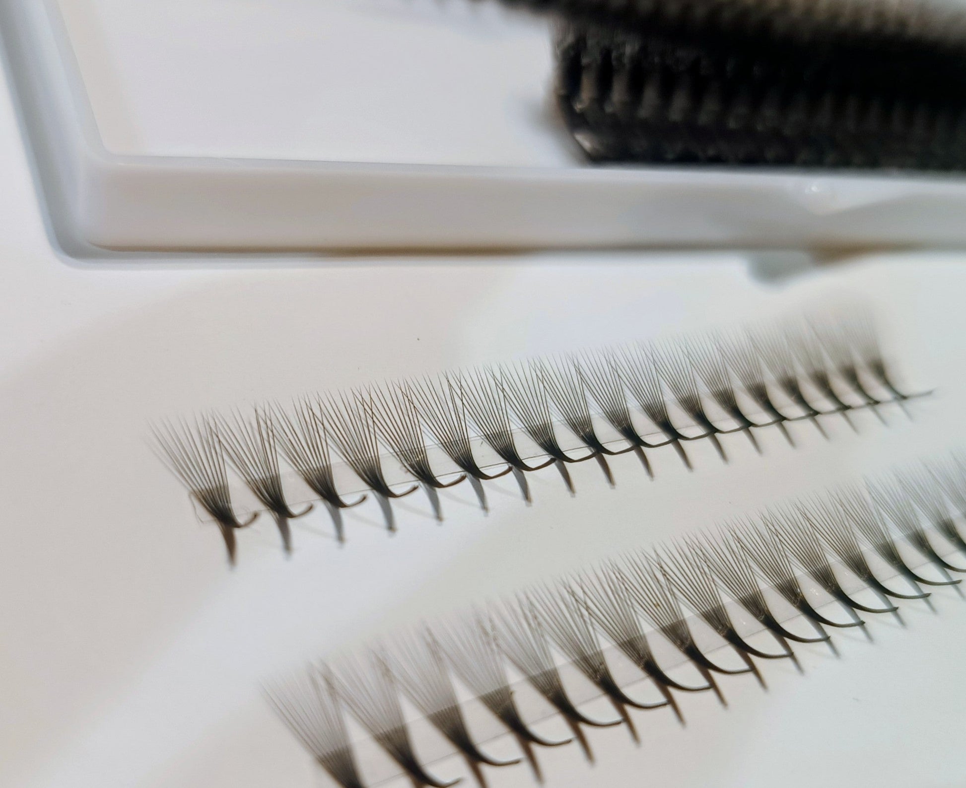 10D M LADIES ON THE LASH