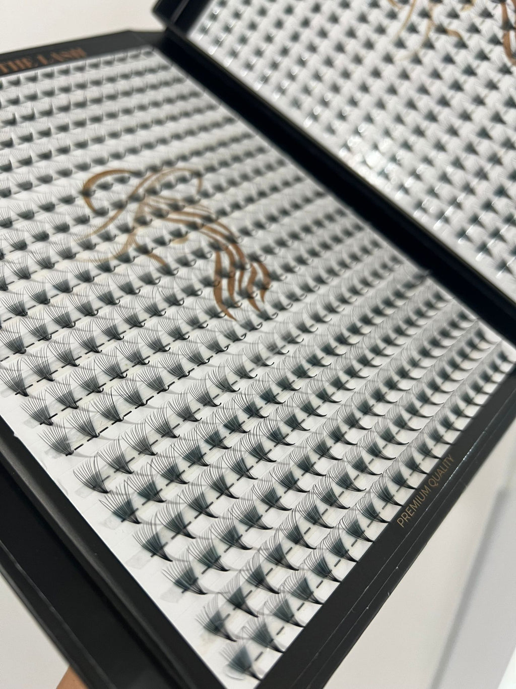 12D 800evantaie LADIES ON THE LASH