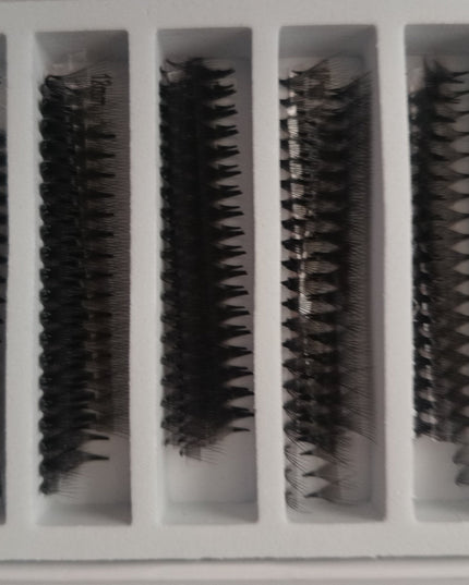 Gene Premade 10D  M Narrow LADIES ON THE LASH