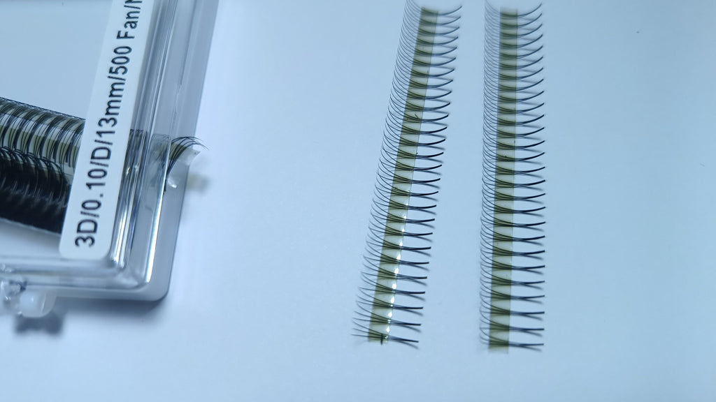 3D Narrow LADIES ON THE LASH