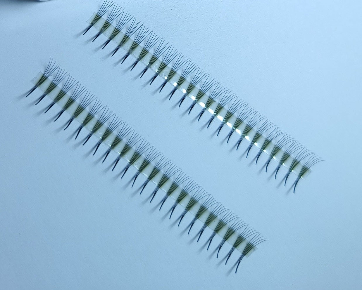 5D Narrow LADIES ON THE LASH